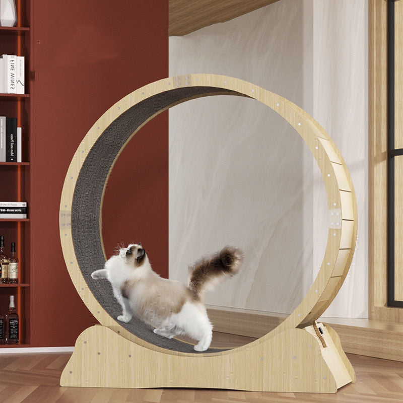 Cat specific treadmill