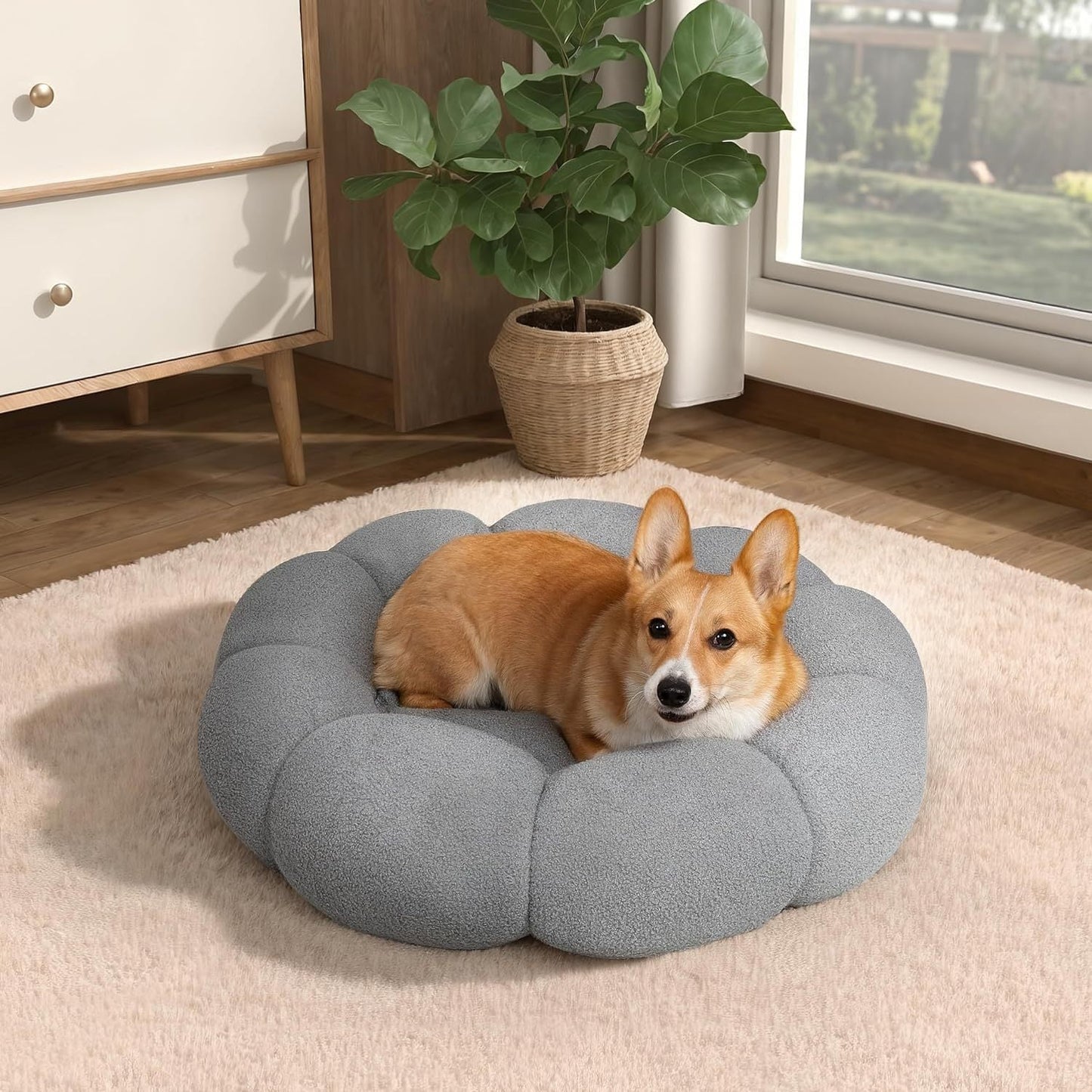 Calming Cat Beds