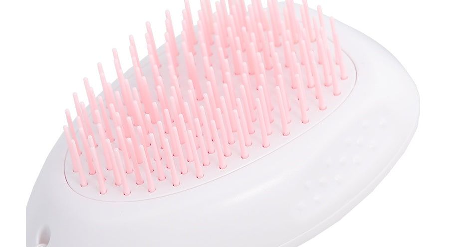 Brush Brush Cat Hair