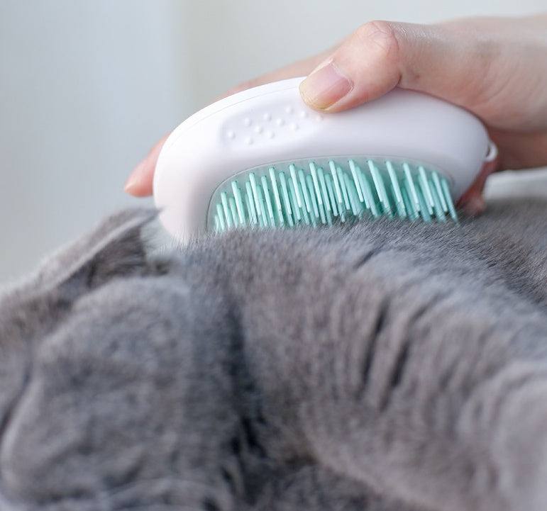 Brush Brush Cat Hair