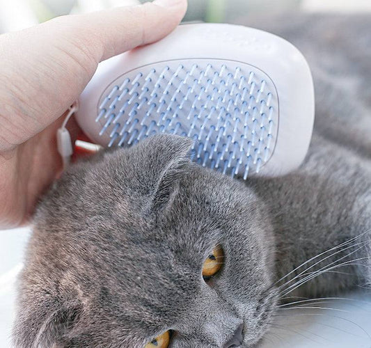 Brush Brush Cat Hair