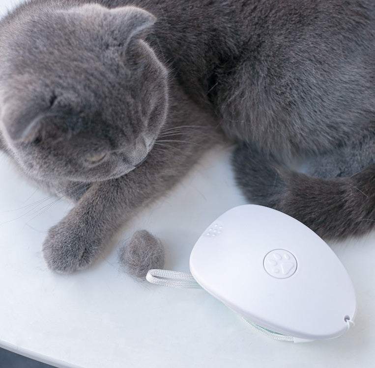 Brush Brush Cat Hair
