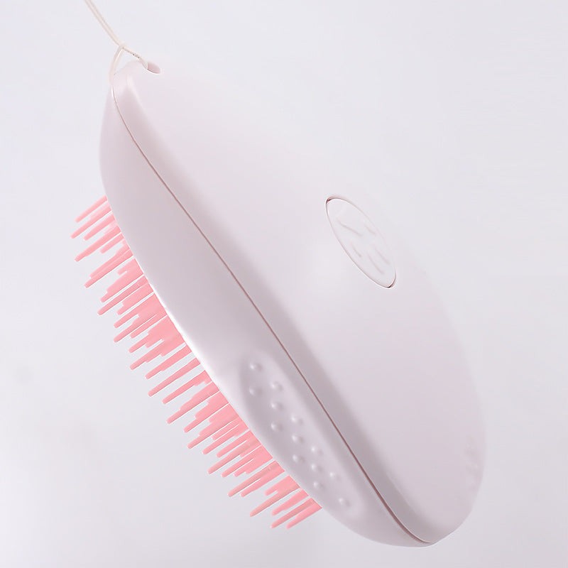 Brush Brush Cat Hair